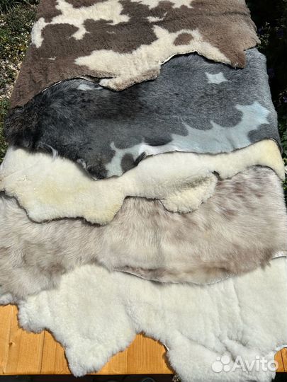 Овечья шкурка стриженная