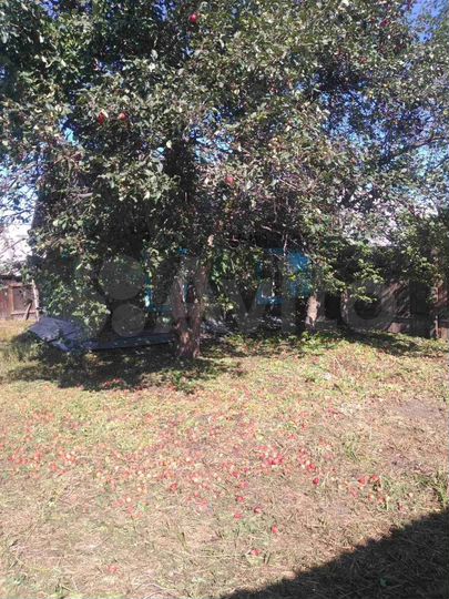 Дом 28 м² на участке 2 сот.