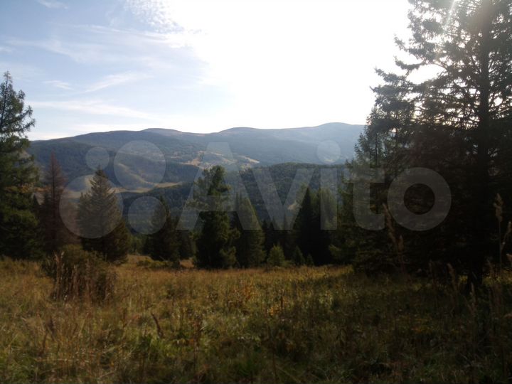 Участок 39,4 га (СНТ, ДНП)