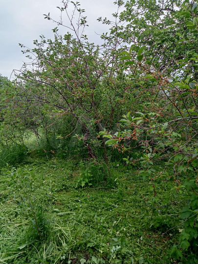 Участок 11,3 сот. (ИЖС)