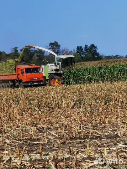 Уборка Сенаж, Силос