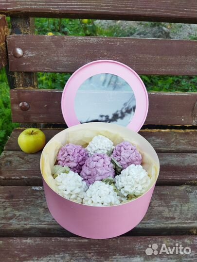 Сирень круглый год