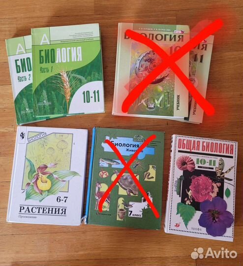 Учебники по биолигии 6, 7, 10, 10/11 классы