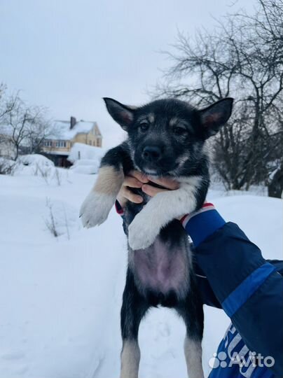 Супер детки