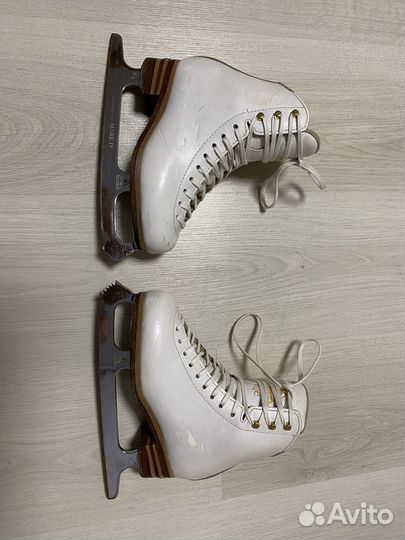 Фигурные коньки jackson elle