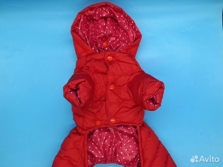 61065 Куртка для маленьких собак