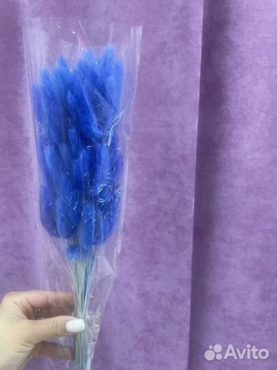 Сухоцветы лагурус