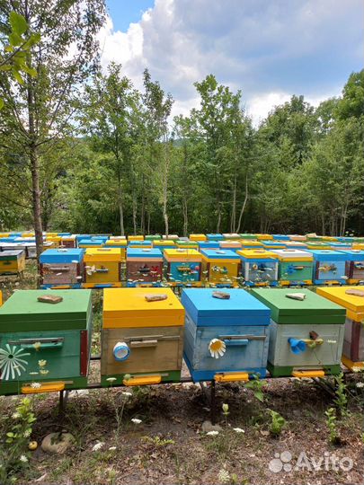 Прицеп пчеловоз, 1998