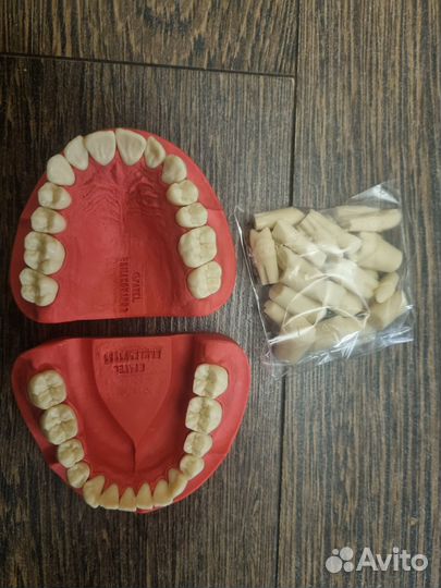Модели геллера с дополнительным комплектом зубов