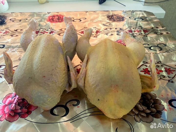 Куры фермерские