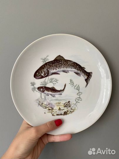 Тарелка гдр