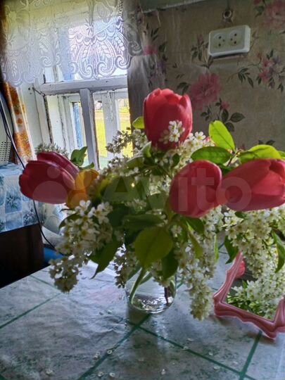 Участок 17 сот. (ИЖС)