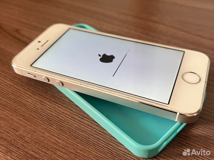 Apple iPhone 5s 16gb