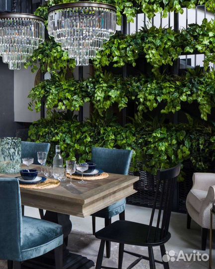 Фитостены, вертикальное озеленение, растения, от