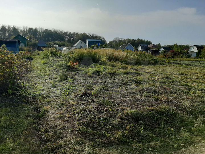 Участок 6 сот. (СНТ, ДНП)