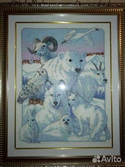 Картина Полярные животные