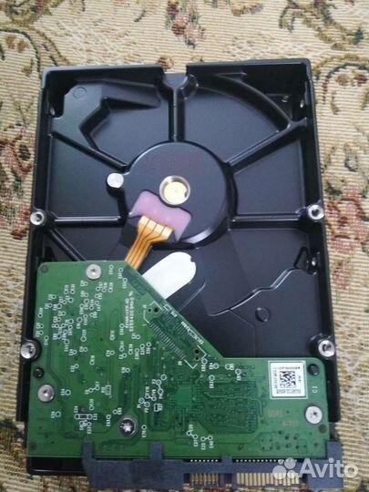Жесткий диск WD, Seagate