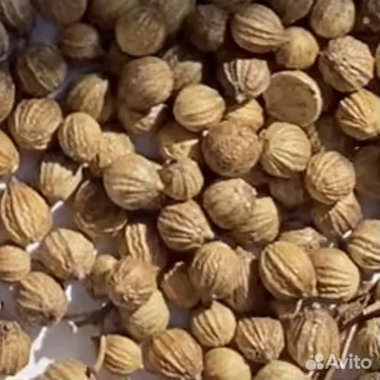 Весовые семена