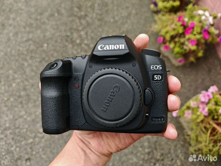 Canon EOS 5D Mark II