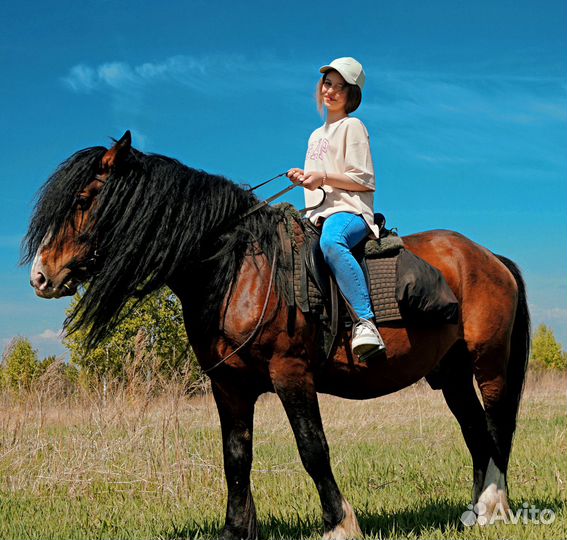 Конные прогулки для новичков без опыта