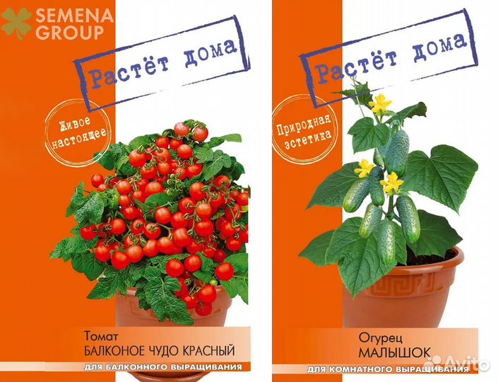 Пакетированные семена оптом для торговых сетей