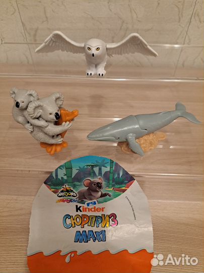 Kinder surprise maxi natoons