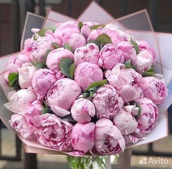 Пионы Букет пионов