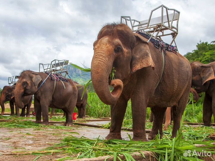 Турпутевка в Phuket на 7 нч за двоих