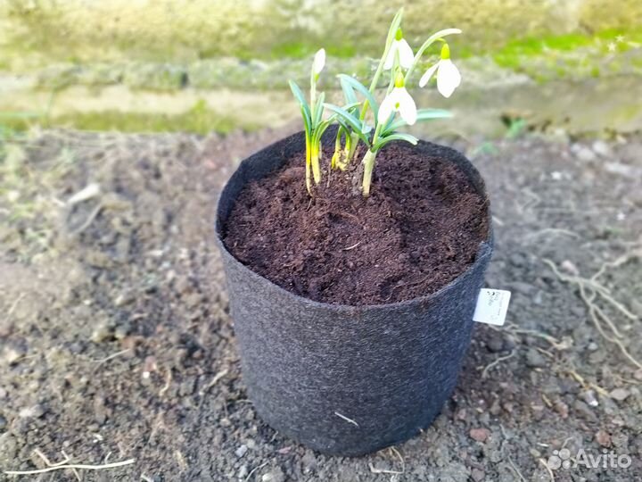 Горшок для цветов 5л