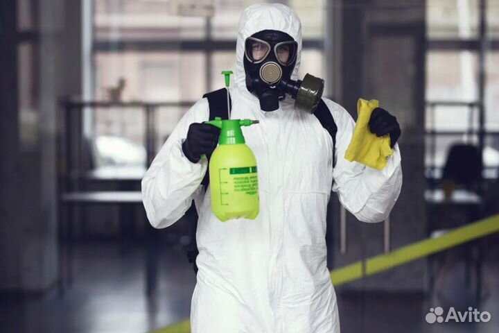 Уничтожение тараканов, клопов, комаров, крыс мышей