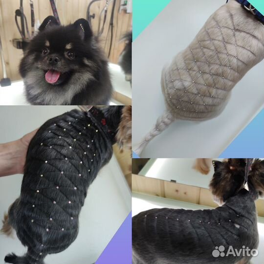 Стрижка собак и кошек Грумер Зоосалон