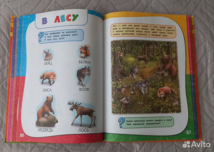 Годовой курс занятий 2 года