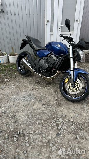 Продам honda CB600F hornet 2009