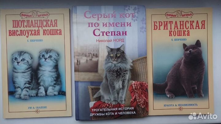 Книги о котах