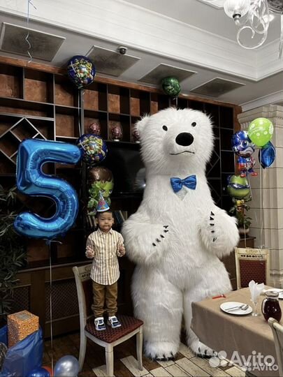 Белый Медведь, Поздравление, Аниматоры