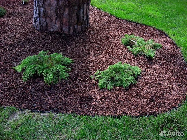 Сосновая кора / Мульча / 60л / доставка