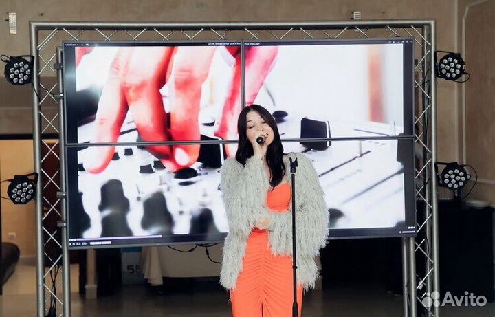 Караоке система с видеостеной на выезд аренда