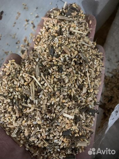 Отходы просо