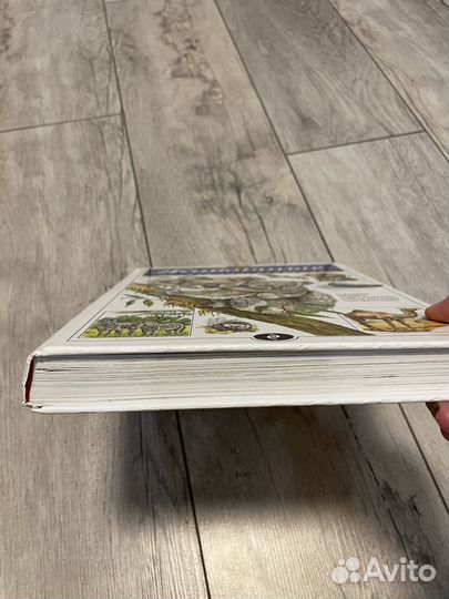 Детские книги пакетом