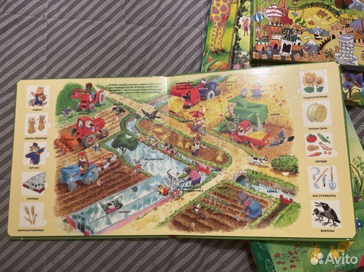 Детские книги - виммельбухи, сенсорные книги