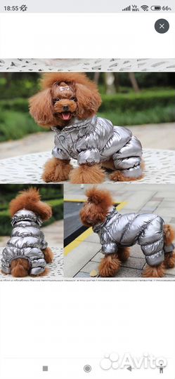 Зимний комбинезон для собак мелких пород