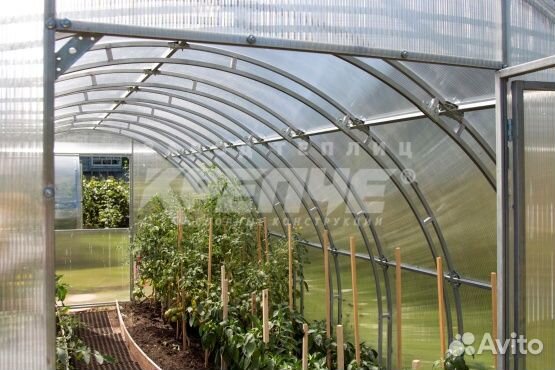 Теплица Люкс 3х8