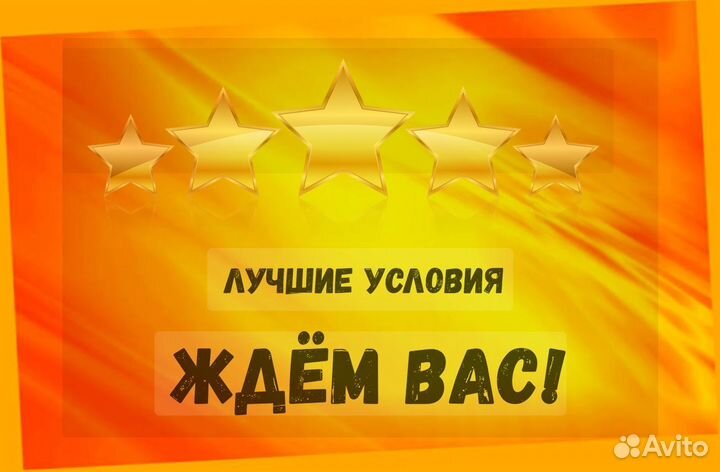 Сборщик заказов Выплаты еженедельно Без опыта М/Ж