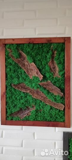 Мох.Картины со стабилизированным мхом и корой