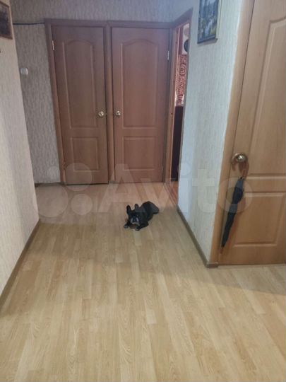 3-к. квартира, 62 м², 1/4 эт.