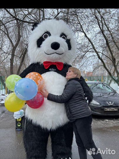 Белый мишка и панда /экспресс поздравление