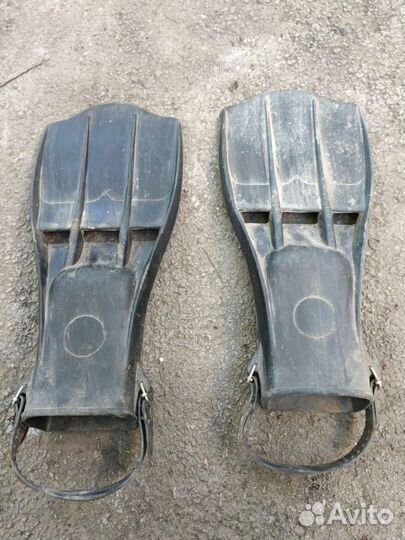 Ласты для подводной охоты в камыше