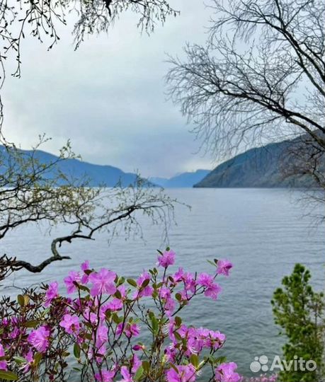 Авторские экспедиции по России, от 5 до 12 дн