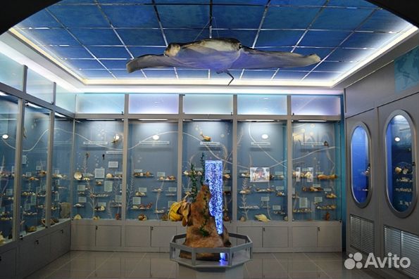 11.ноя.23 Гора Колпаки.Музей камня и моря /хп3081