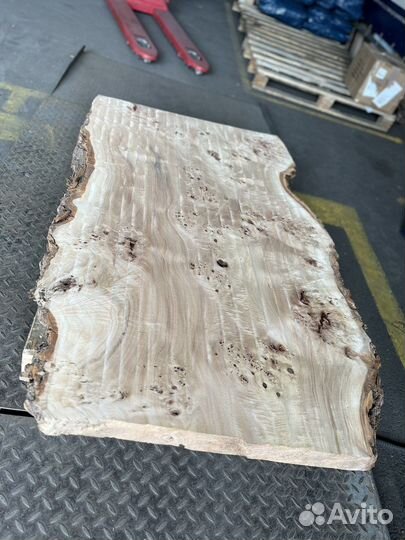 Слэбы капового горного тополя